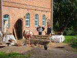 DSC01303_1.jpg