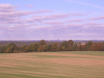 CIMG2645_1.jpg