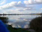 CIMG4458_1.jpg