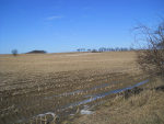 DSCN0982_1.jpg