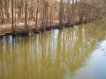 DSCN1025_1.jpg