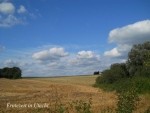 DSCN1600-001_1.jpg
