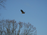DSCN2263_1.jpg