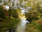 DSCN2687_1.jpg